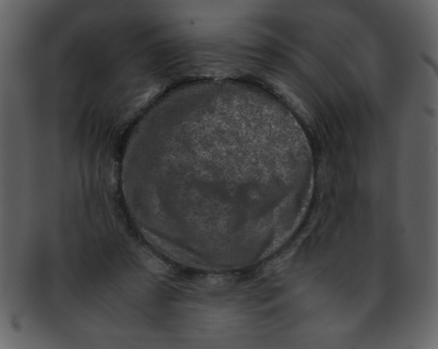 X0000093120305200710171251