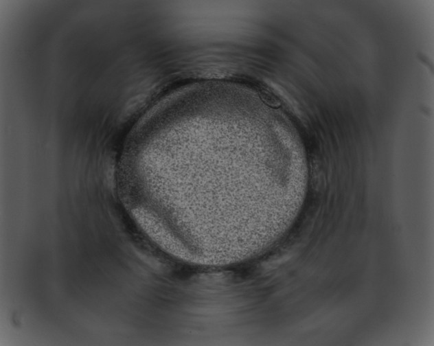 X0000093120307200710171251