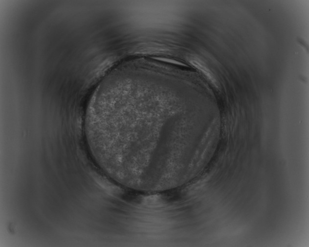 X0000093120309200710171251