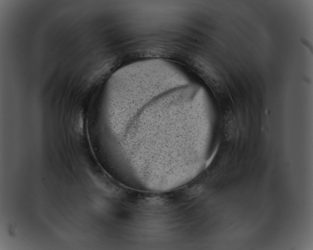 X0000093120310200710171251