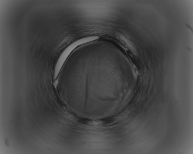 X0000093120313200710171251