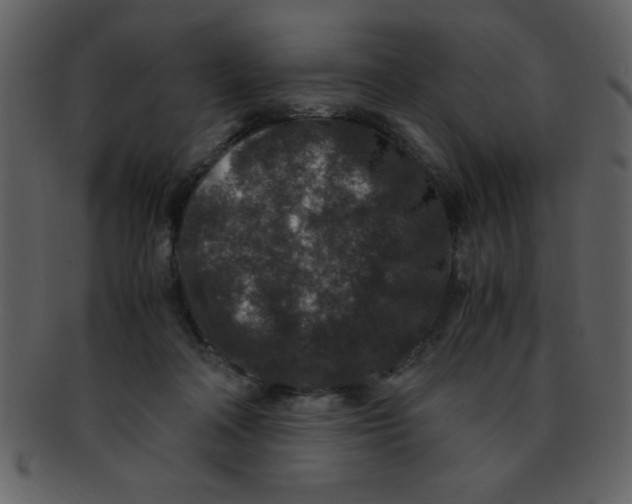 X0000093120314200710171251