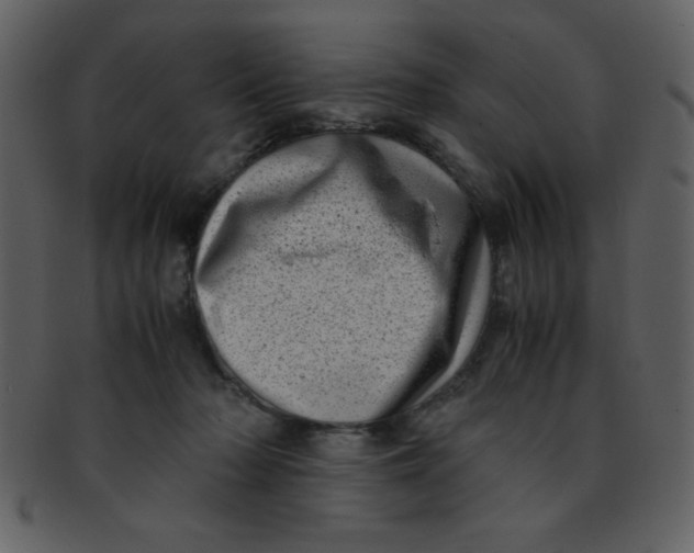 X0000093120318200710171251