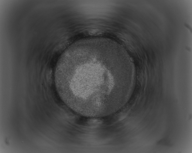 X0000093120319200710171251