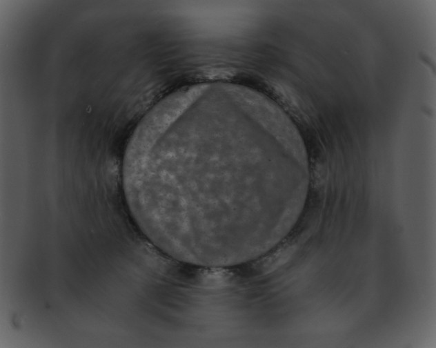 X0000093120321200710171251