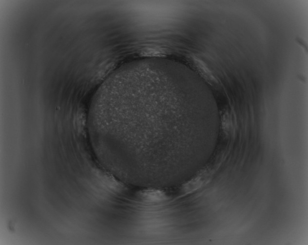 X0000093120322200710171251