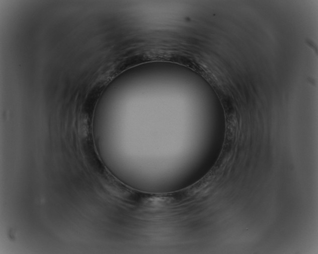 X0000093120323200710171251