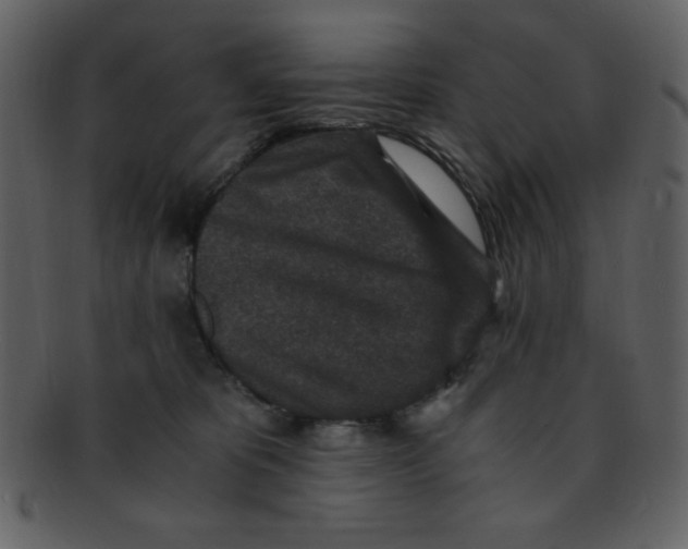 X0000093120325200710171251