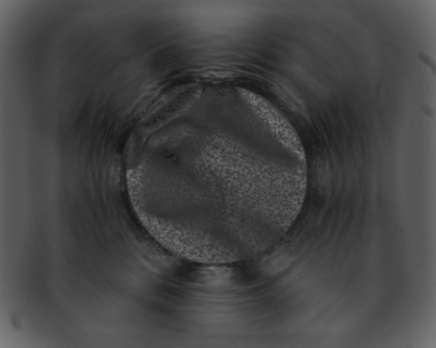 X0000093120328200710171251