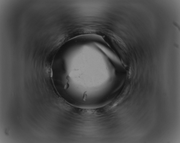 X0000093120329200710171251