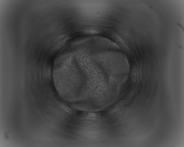 X0000093120330200710171251