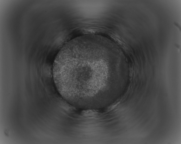 X0000093120331200710171251