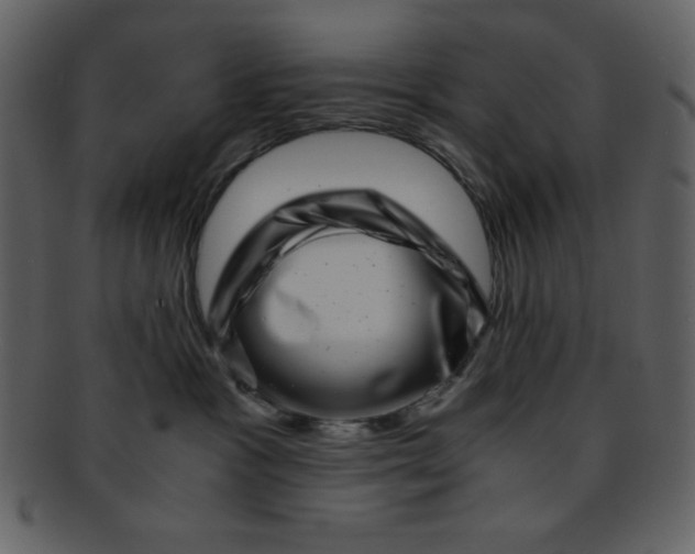 X0000093120333200710171251