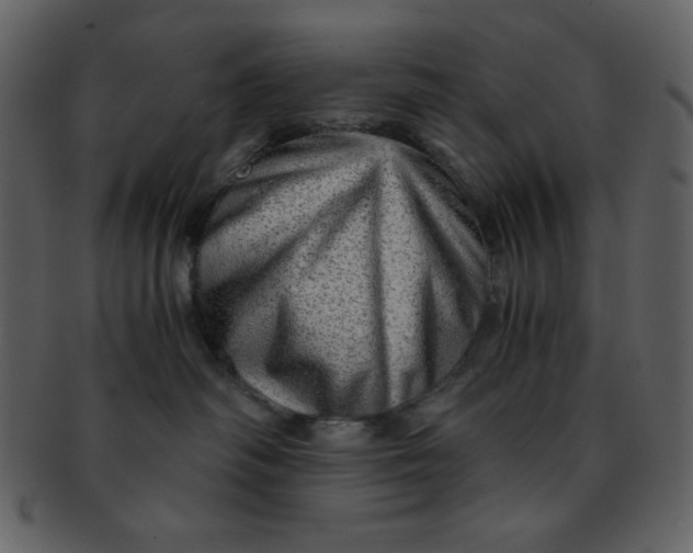 X0000093120334200710171251