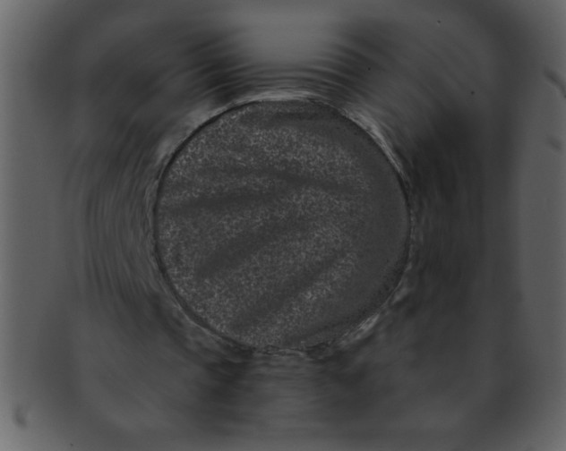 X0000093120337200710171250