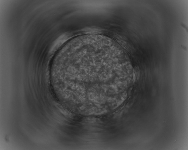 X0000093120339200710171250