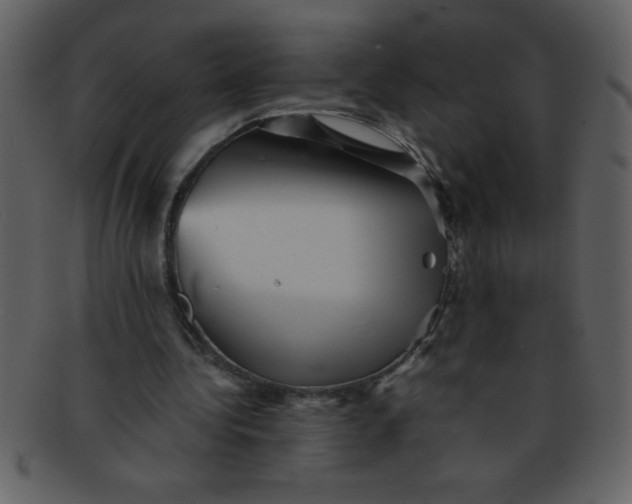 X0000093120340200710171250