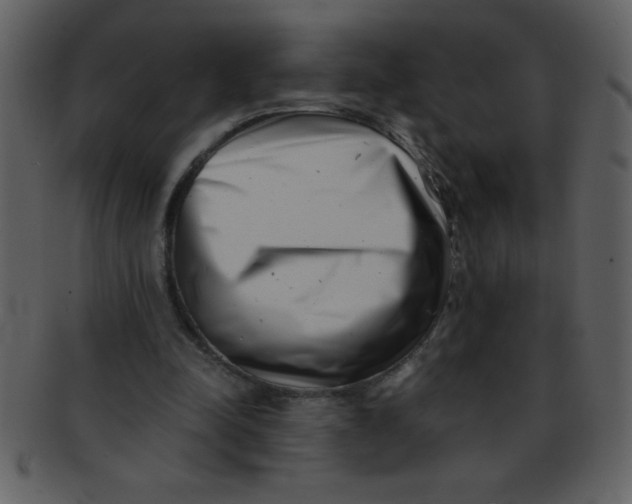 X0000093120342200710171250