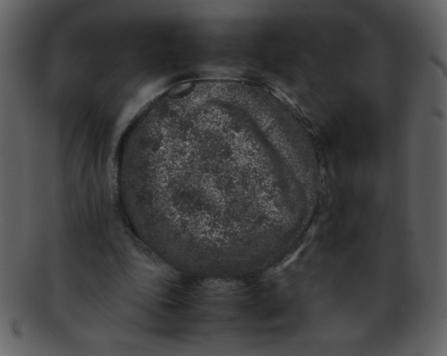 X0000093120343200710171250