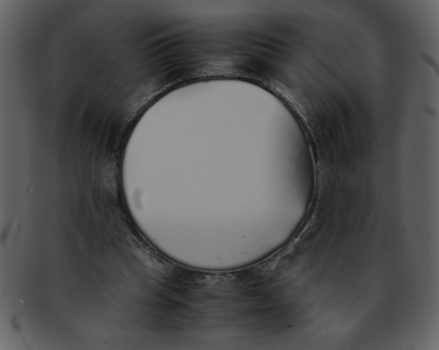 X0000093120345200710171250