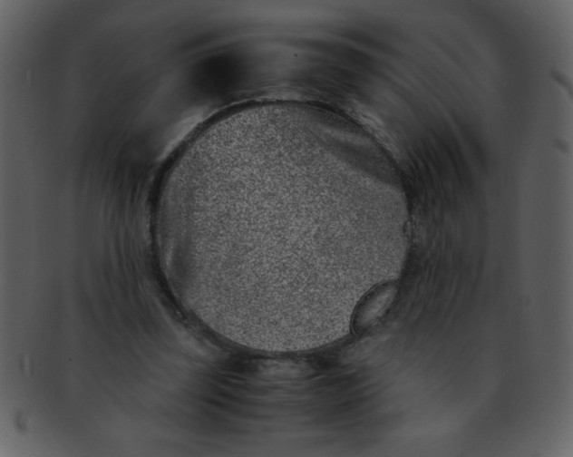 X0000093120347200710171250