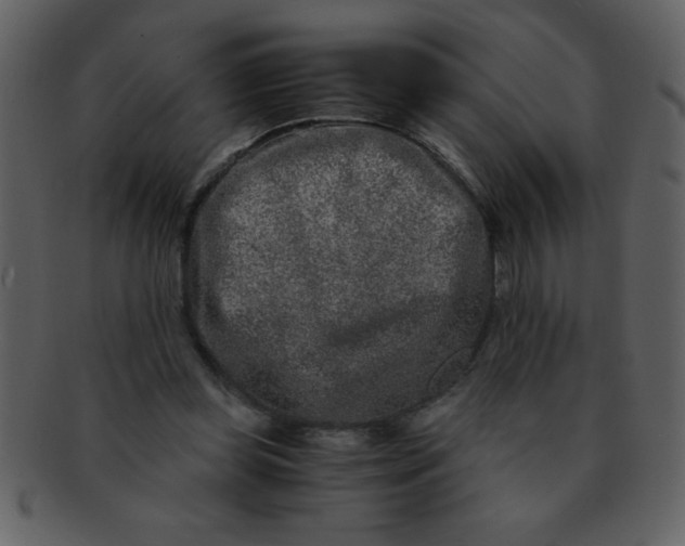 X0000093120349200710171250