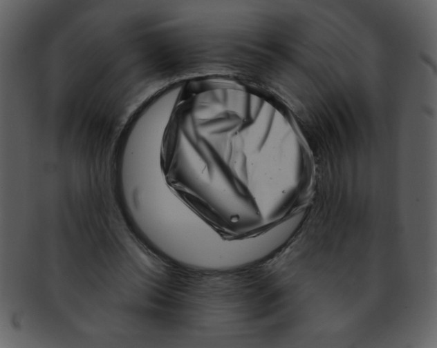 X0000093120350200710171250