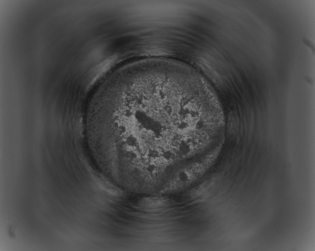 X0000093120351200710171250