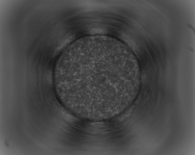 X0000093120353200710171250