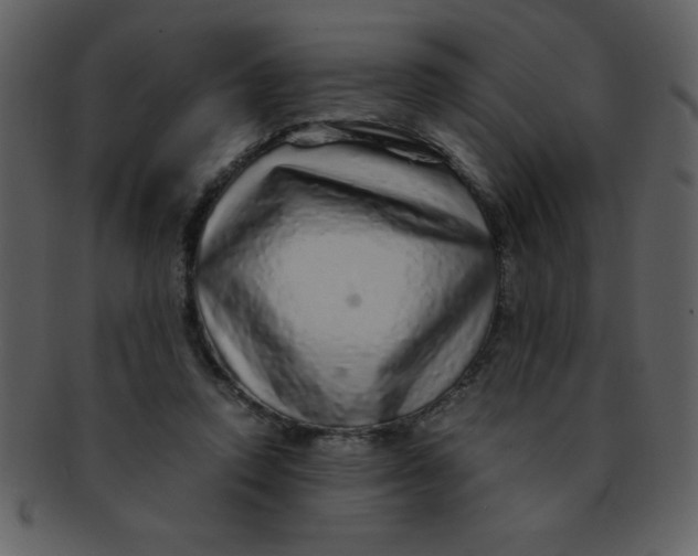 X0000093120354200710171250