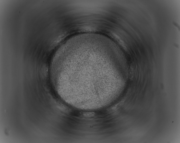 X0000093120355200710171250