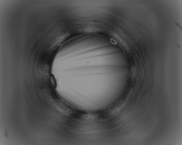 X0000093120356200710171250