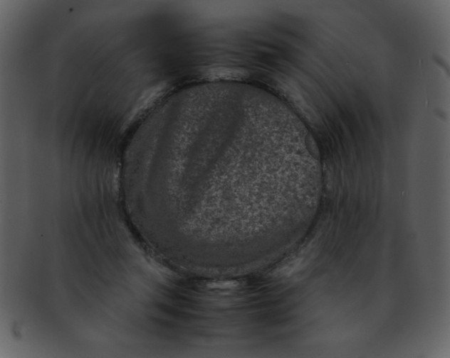 X0000093120357200710171251