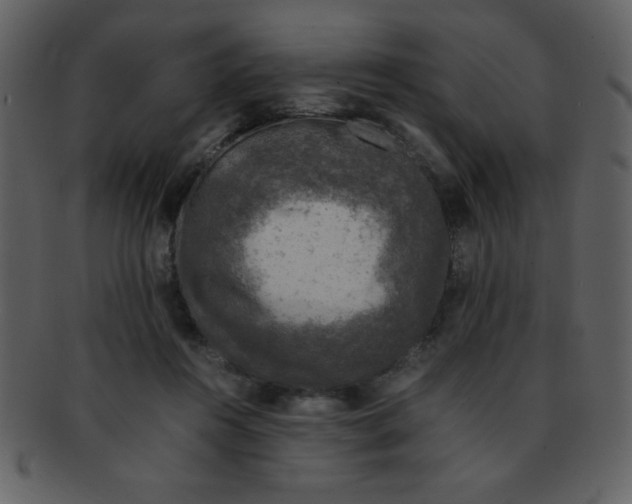 X0000093120360200710171251