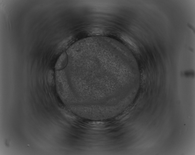 X0000093120361200710171251