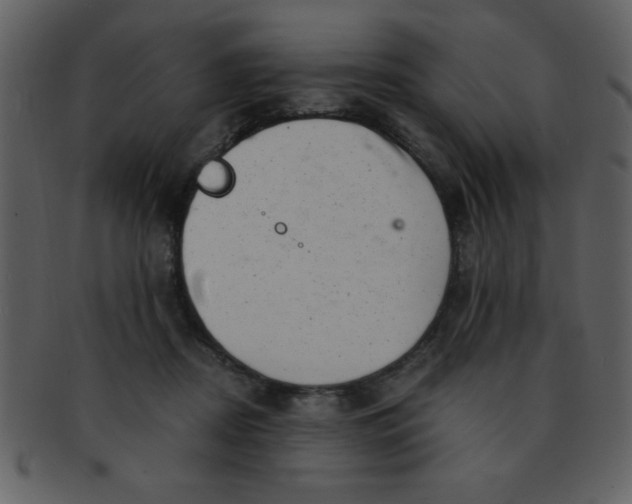 X0000093120362200710171251