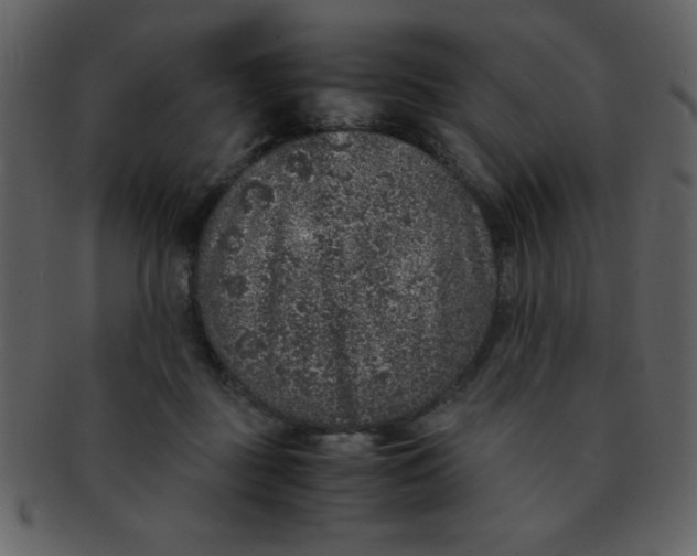 X0000093120363200710171251