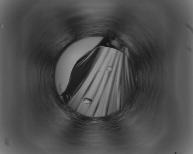 X0000093120364200710171251