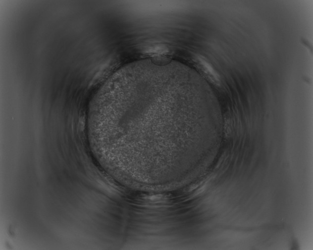 X0000093120365200710171251