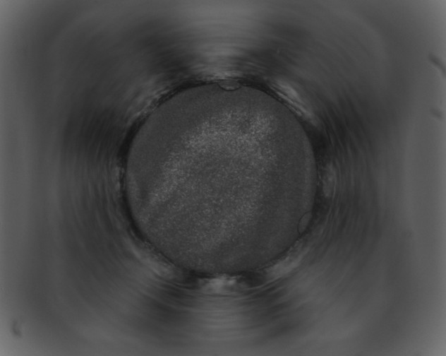 X0000093120366200710171251