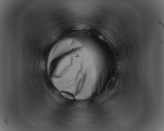 X0000093120368200710171251