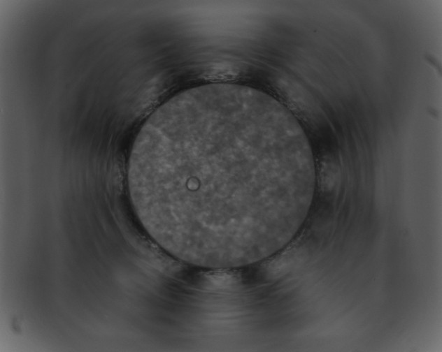 X0000093120370200710171251