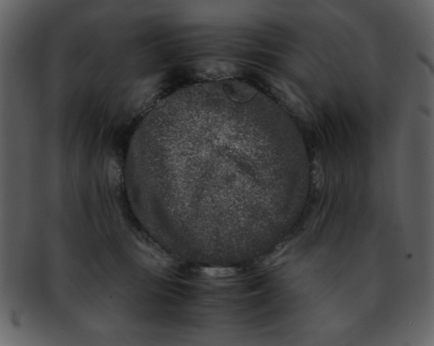 X0000093120371200710171251