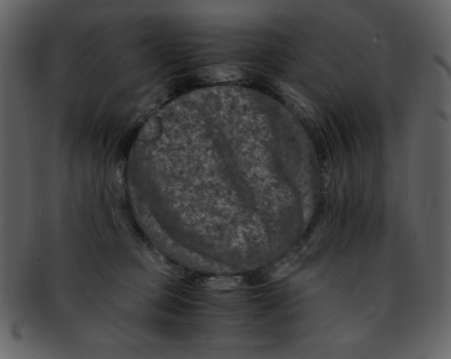 X0000093120373200710171251