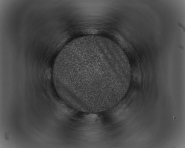 X0000093120374200710171251