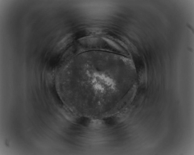 X0000093120376200710171251