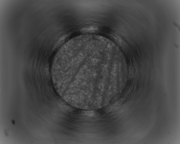 X0000093120377200710171251