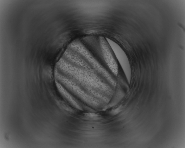 X0000093120380200710171251