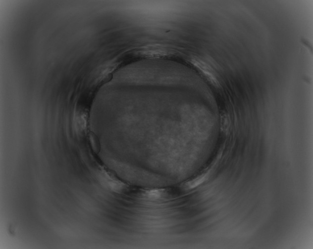 X0000093120382200710171251