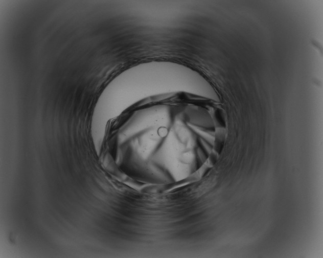 X0000093120384200710171251